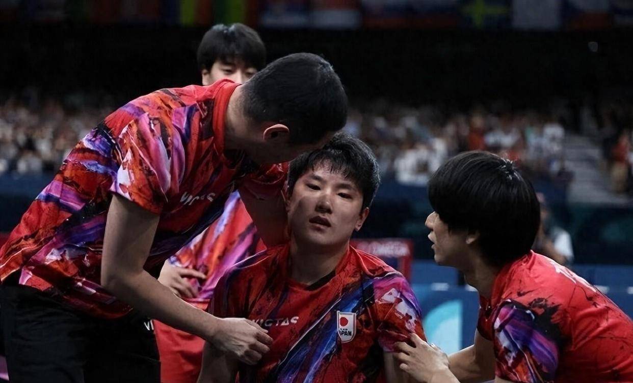 比利时乒乓球队轻取英国乒乓球队,张本智和爆发神勇的简单介绍 比利时乒乓球队轻取英国乒乓球队,张本智和爆发神勇的简单介绍