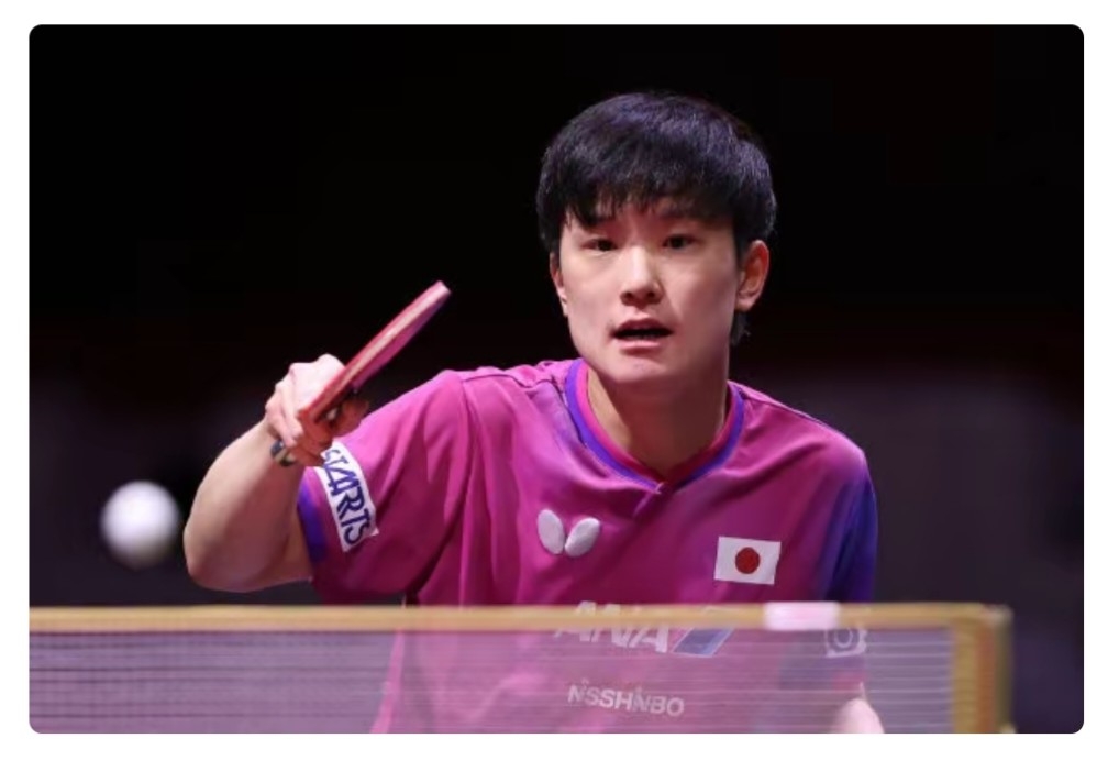 比利时乒乓球队轻取英国乒乓球队,张本智和爆发神勇的简单介绍 比利时乒乓球队轻取英国乒乓球队,张本智和爆发神勇的简单介绍