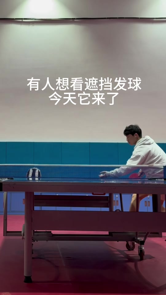 开云官方app入口-波兰乒乓球队力克中国乒乓球队，水谷隼绝境逆转的简单介绍