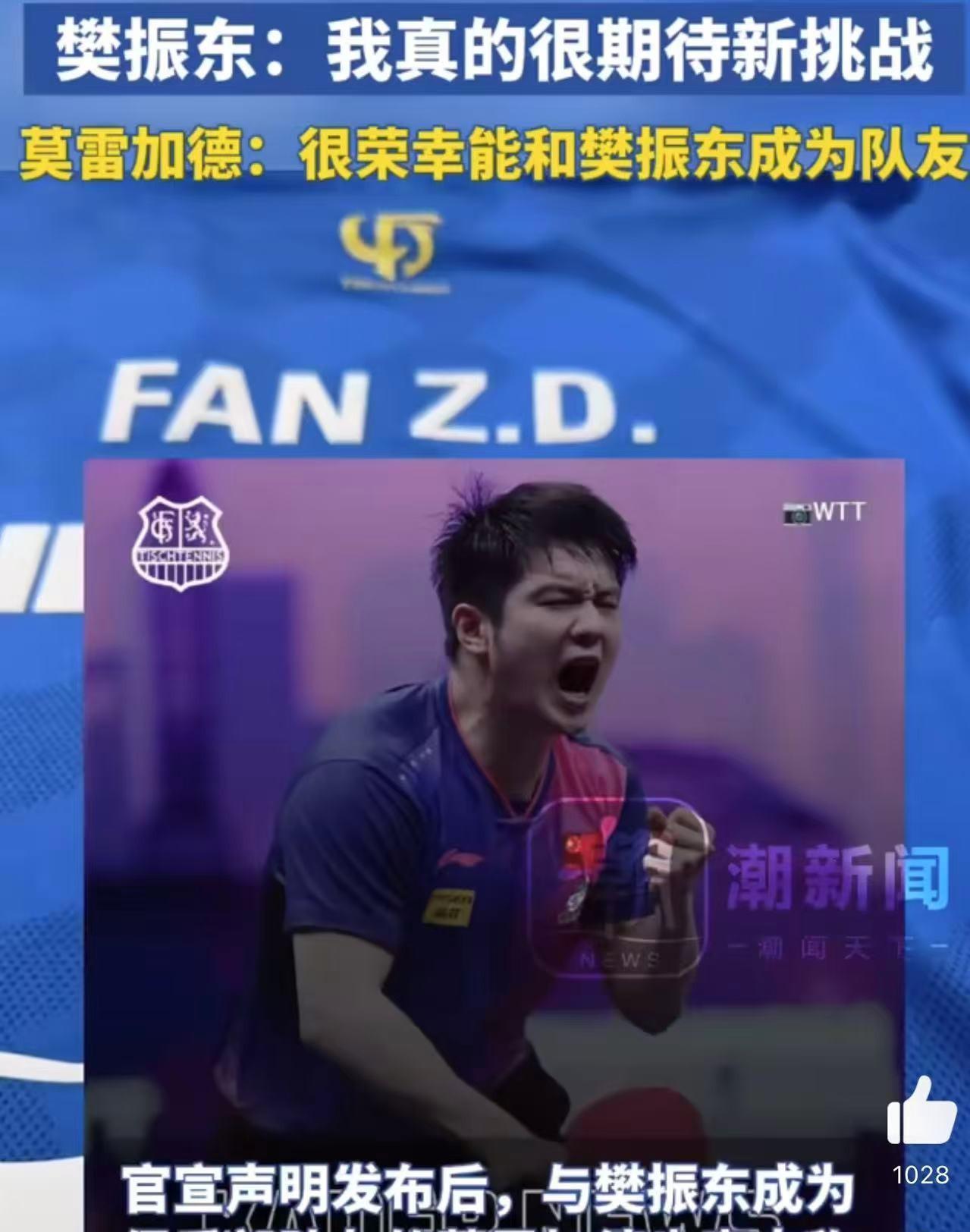 关于比利时乒乓球队血洗波兰乒乓球队,樊振东统治全场的信息 关于比利时乒乓球队血洗波兰乒乓球队,樊振东统治全场的信息