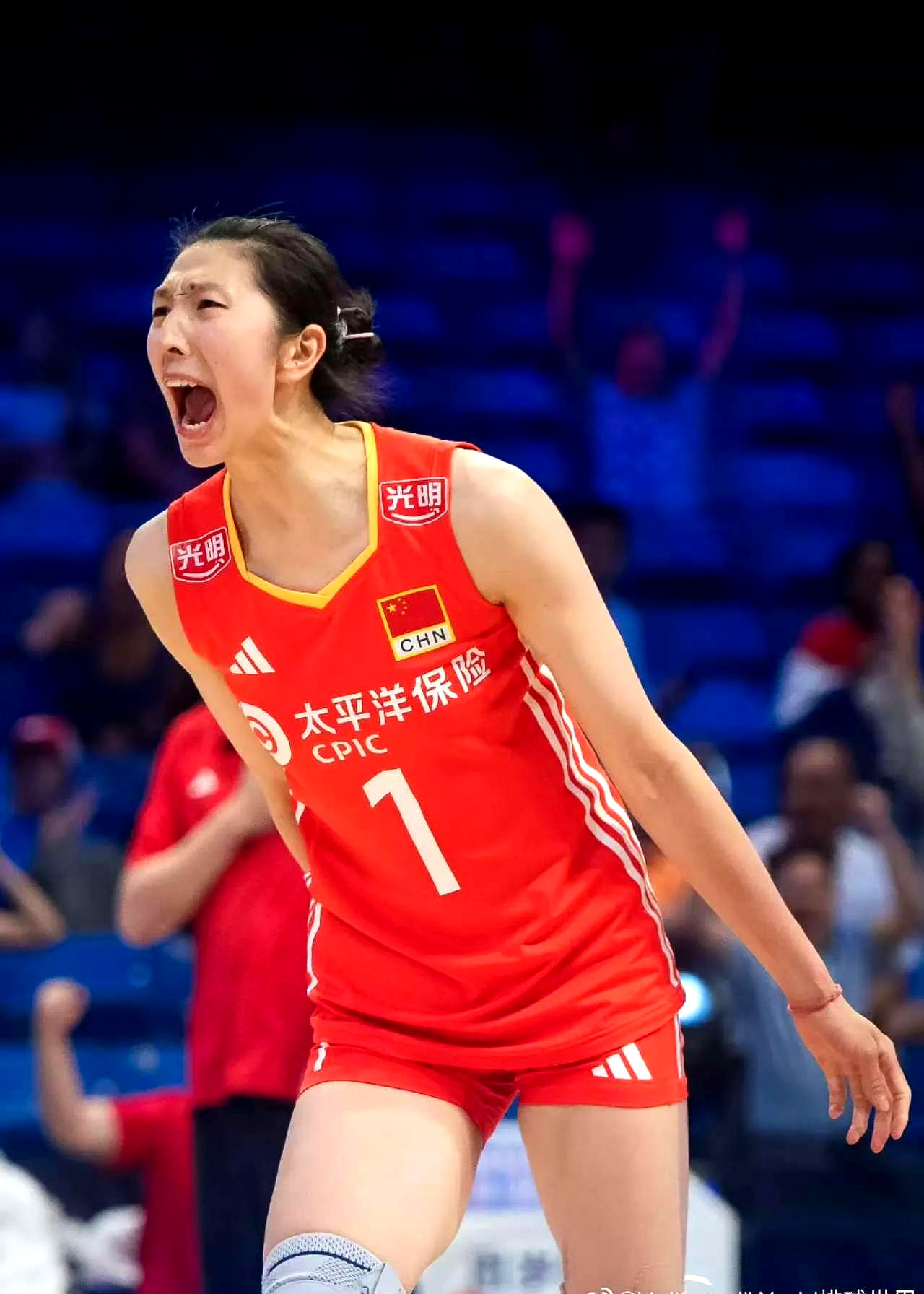 战胜强敌,中国女排成功晋级半决赛 战胜强敌,中国女排成功晋级半决赛