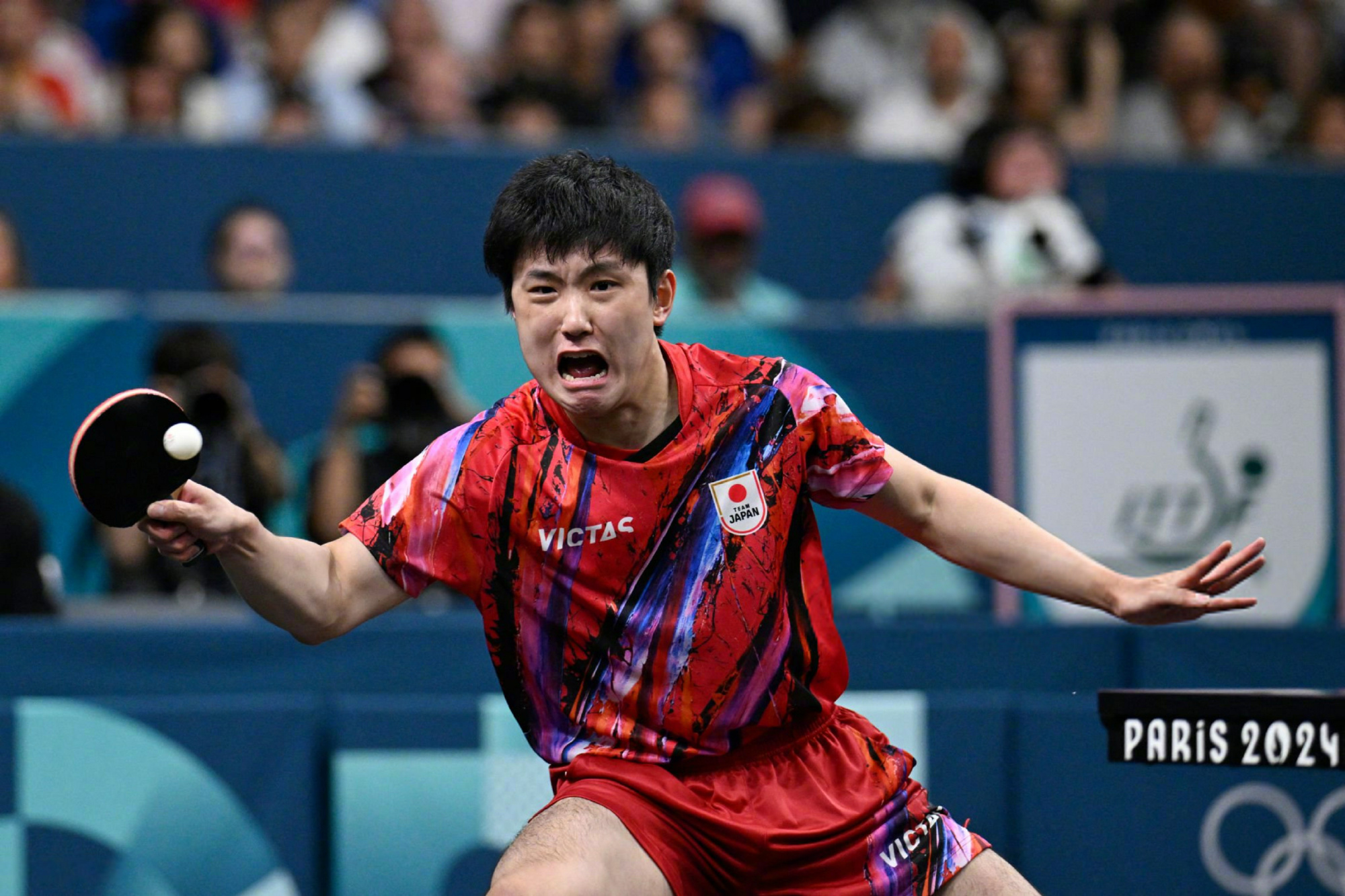 奥地利队险胜日本队，张本智和刷新纪录的简单介绍